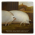 Avatar for Sundayly from gravatar.com