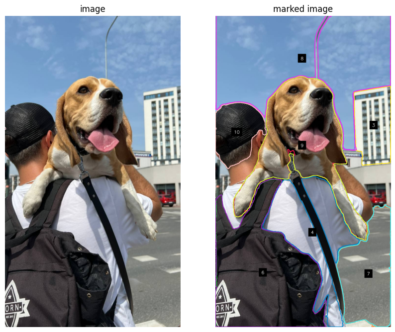 image-vs-marked-image