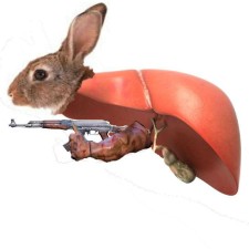 Avatar for Lehan from gravatar.com