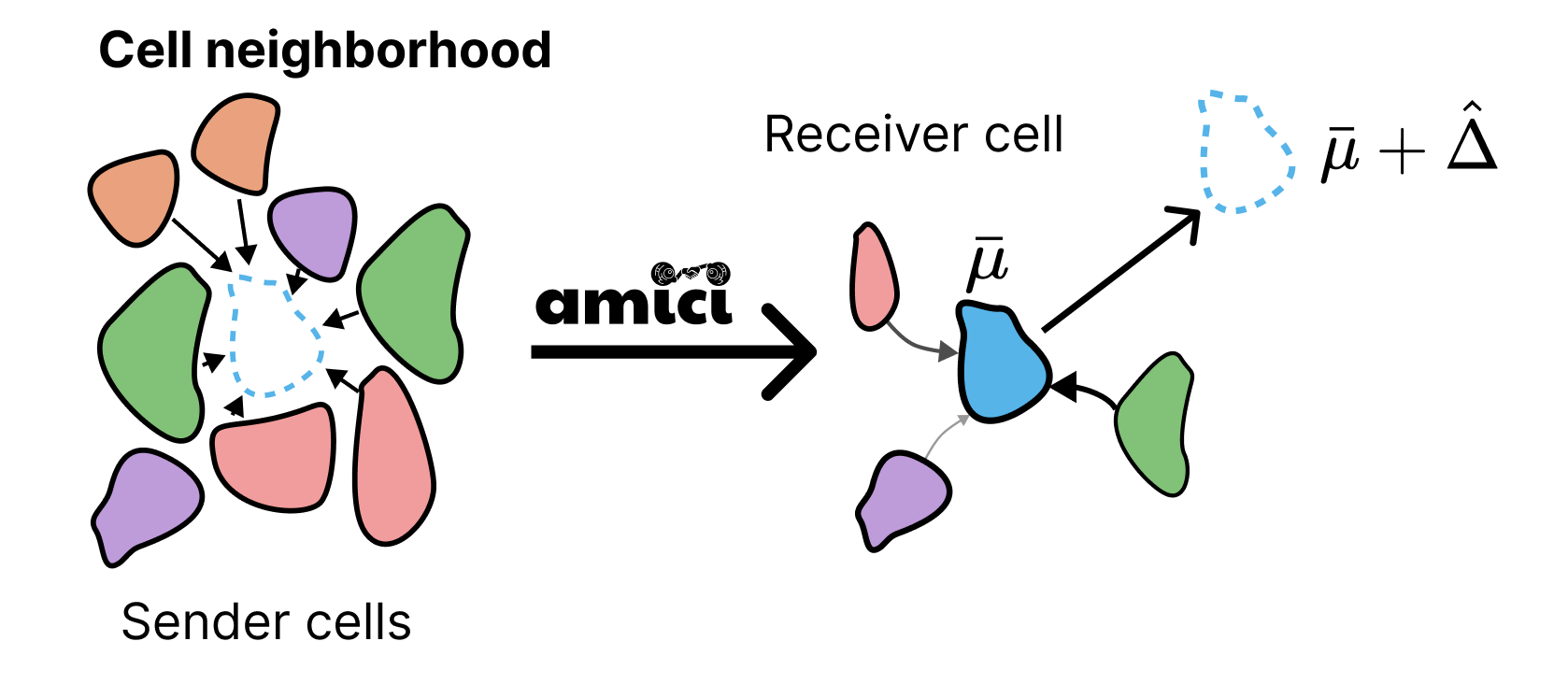 amici_framework