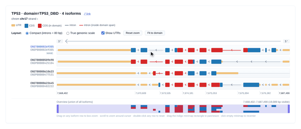 fastCDS interactive isoform viewer