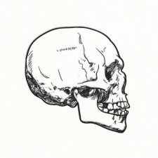 Avatar for Nap Joseph Calub from gravatar.com