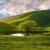 Avatar for Kirubeltamene from gravatar.com