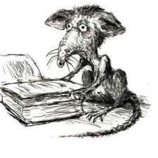 Avatar for firm1 from gravatar.com