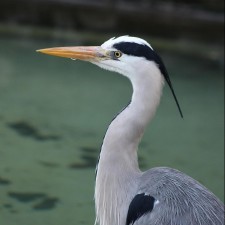 Avatar for Jacek from gravatar.com