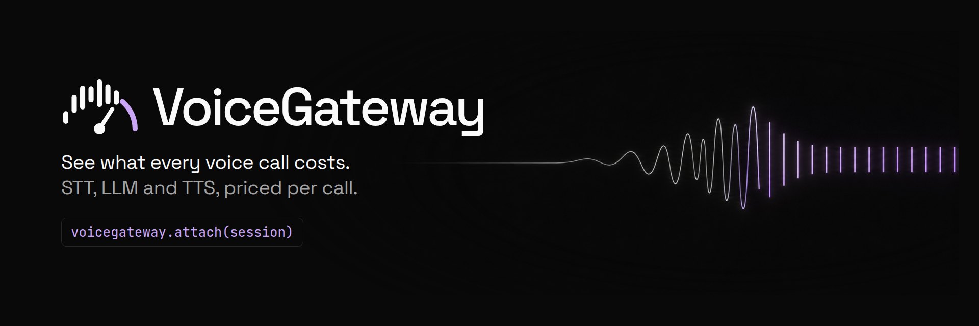 VoiceGateway: see what every voice call costs