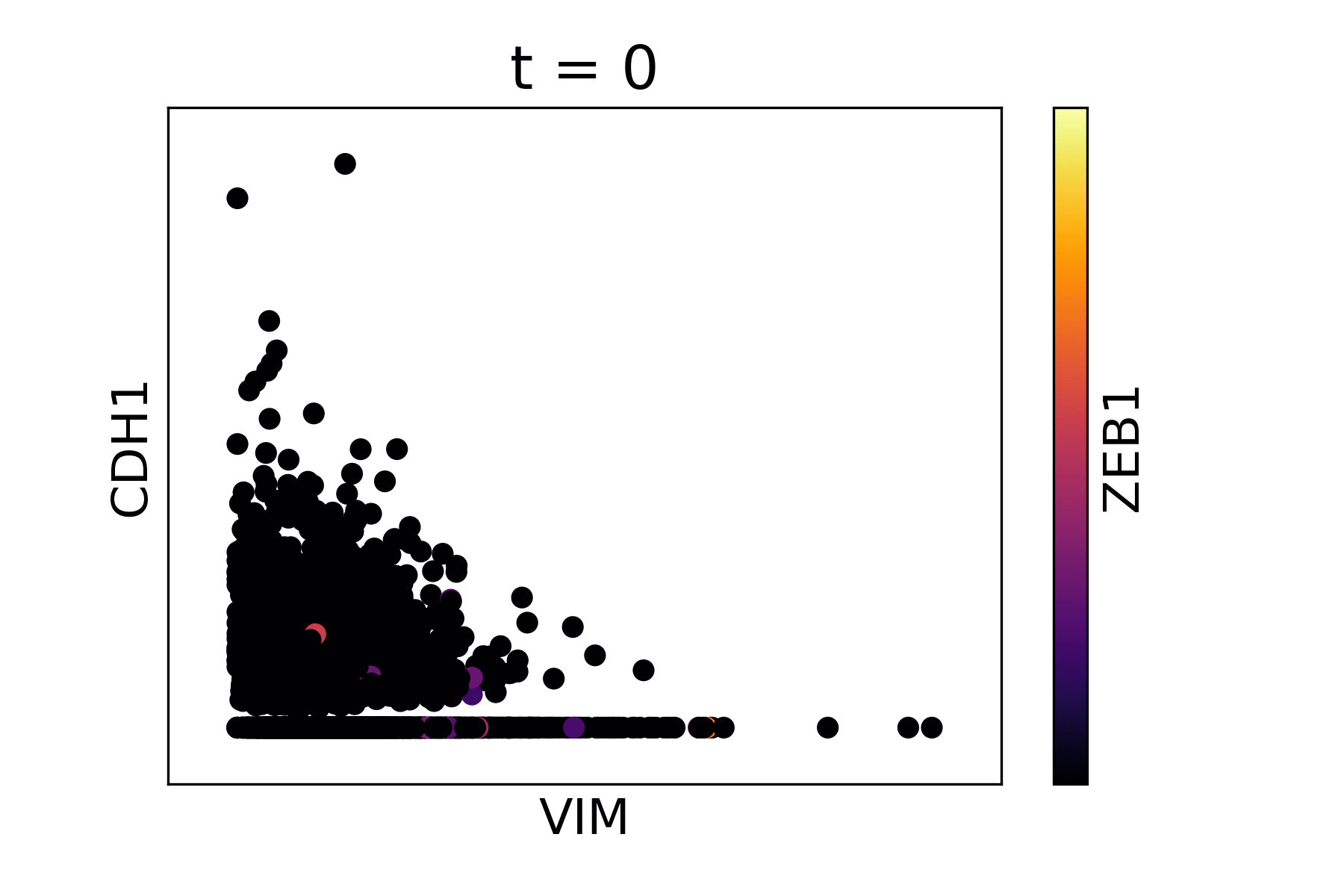 Magic reveals the interaction between Vimentin (VIM), Cadherin-1 (CDH1), and Zinc finger E-box-binding homeobox 1 (ZEB1, encoded by colors).