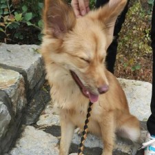 Avatar for anjia from gravatar.com