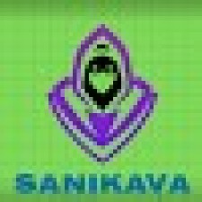 Avatar for sanikava from gravatar.com