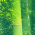 Avatar for secret-tangyuan from gravatar.com