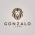 Avatar for lgonzalo from gravatar.com