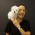Avatar for alq666 from gravatar.com