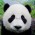 Avatar for wooln from gravatar.com