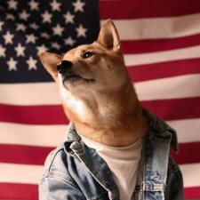 Avatar for donny from gravatar.com
