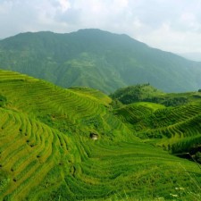 Avatar for Timo Koch from gravatar.com