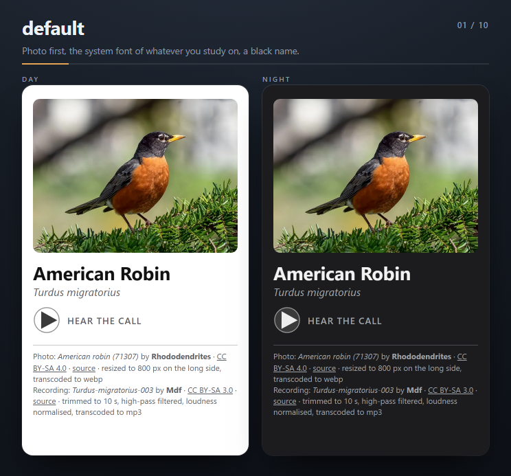 The default theme