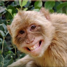 Avatar for anti_social from gravatar.com