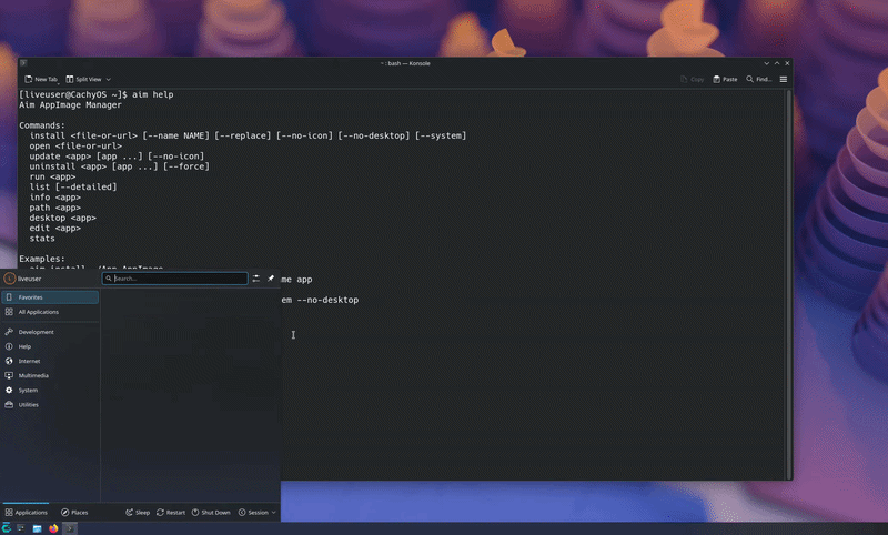 Aim AppImage Manager demo