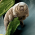 Avatar for emjotde from gravatar.com