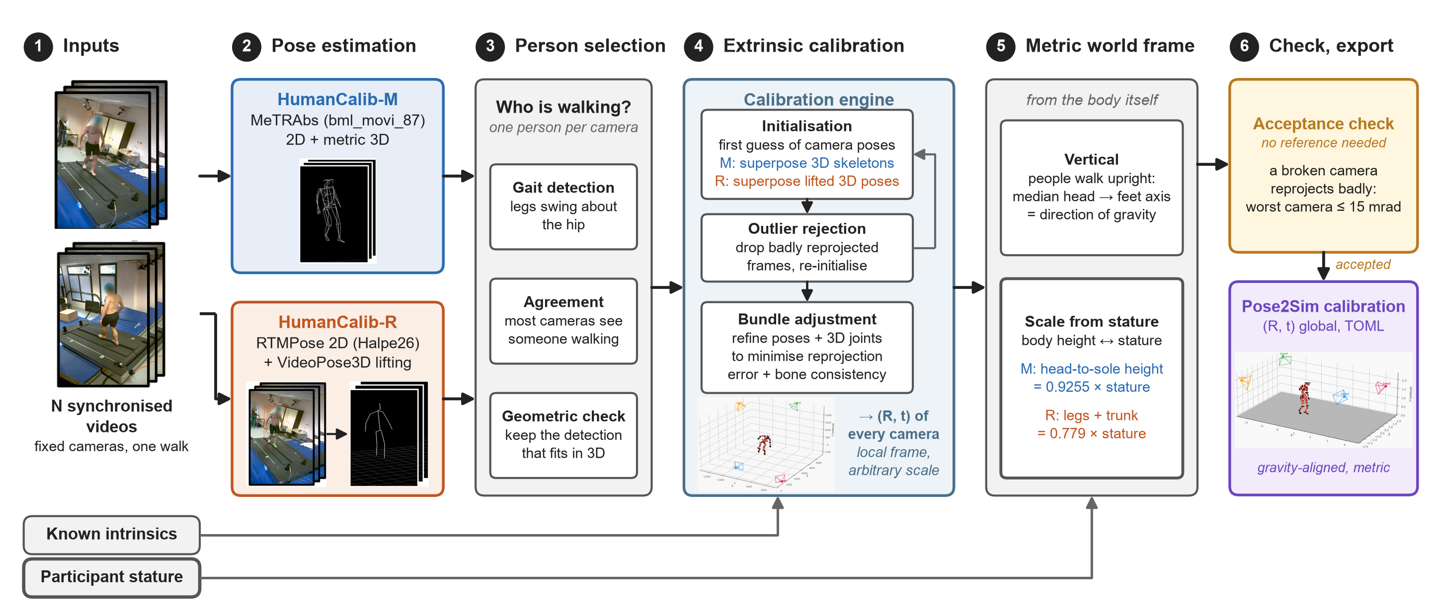 HumanCalib pipeline