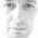 Avatar for glynn_bird from gravatar.com
