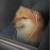 Avatar for LoserCheems from gravatar.com