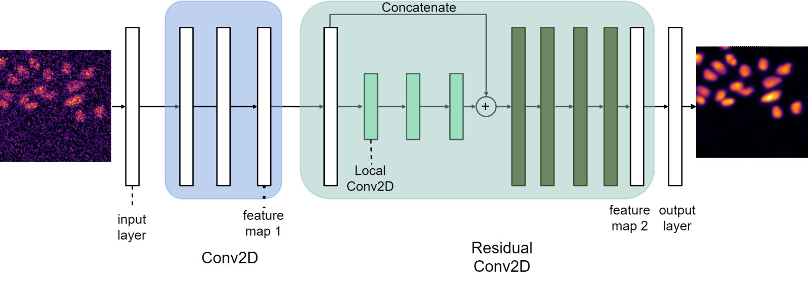 DeBCR network structure