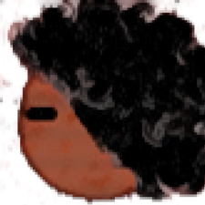 Avatar for Daniel Diniz from gravatar.com