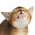 Avatar for whw23 from gravatar.com