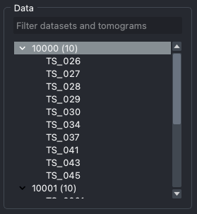 Datasets and tomograms in the portal shown as an interactive tree