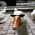 Avatar for MattMoony from gravatar.com