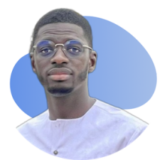 Avatar for Mouhamadou Lamine NDAO from gravatar.com