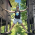 Avatar for ggfevans from gravatar.com