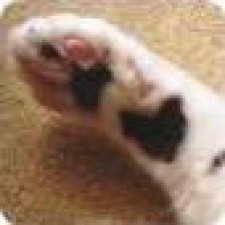 Avatar for MATOBA Akihiro from gravatar.com