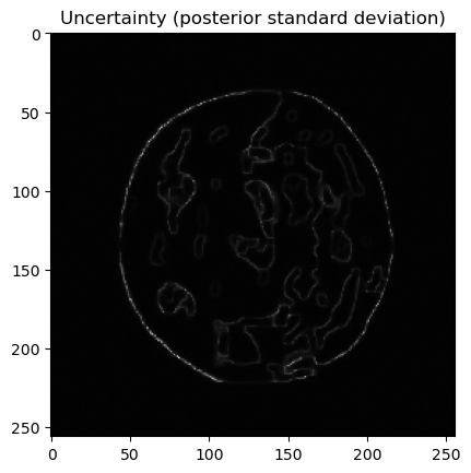 Posterior standard deviation