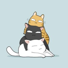 Avatar for lengthmin from gravatar.com