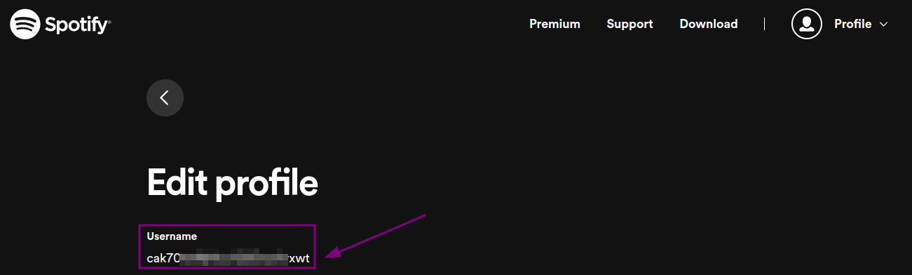 Spotify username