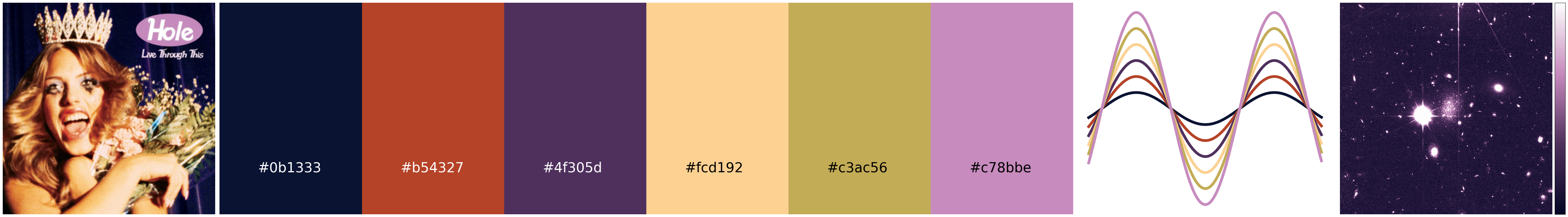 LiveThroughThis_summary