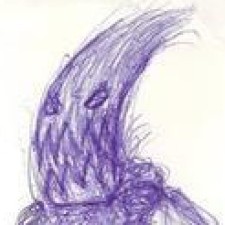 Avatar for jaimeMF from gravatar.com