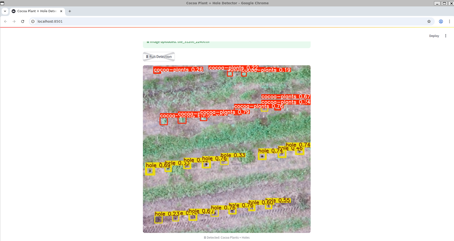 Detection Output