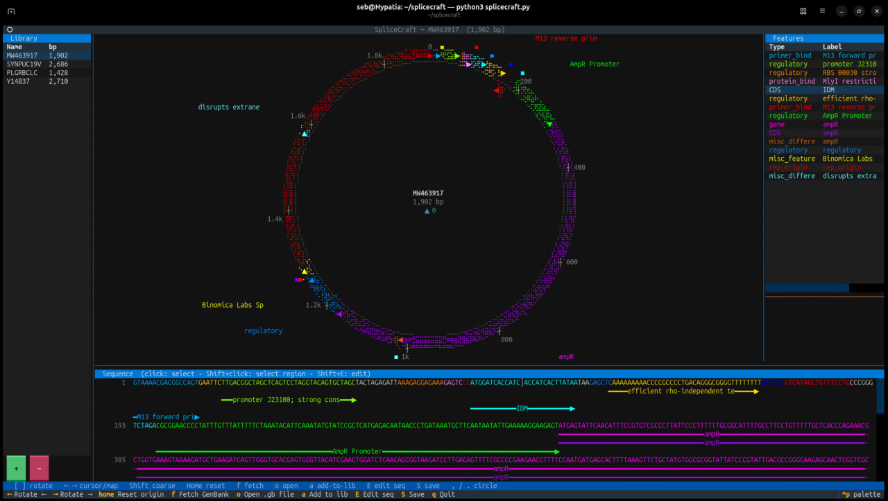 SpliceCraft screenshot