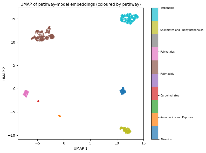 UMAP of pathway-model embeddings coloured by pathway