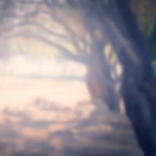 Avatar for Alex Yu from gravatar.com