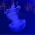 Avatar for Yuricst from gravatar.com