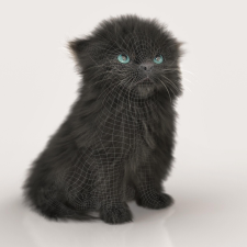 Avatar for Petsonal from gravatar.com