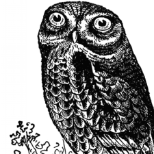 Avatar for James Salvatore from gravatar.com