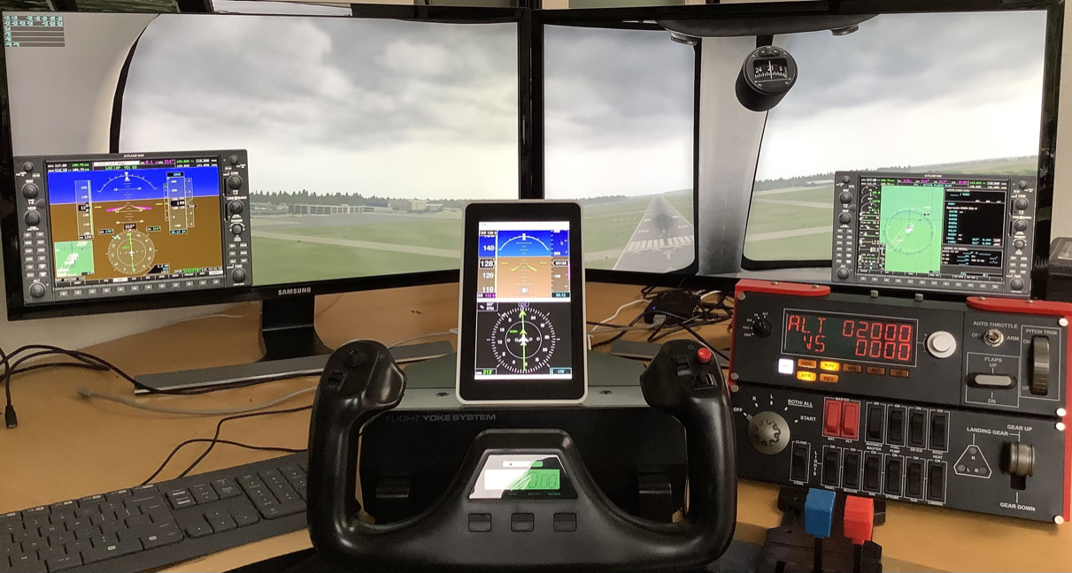 flightSimView