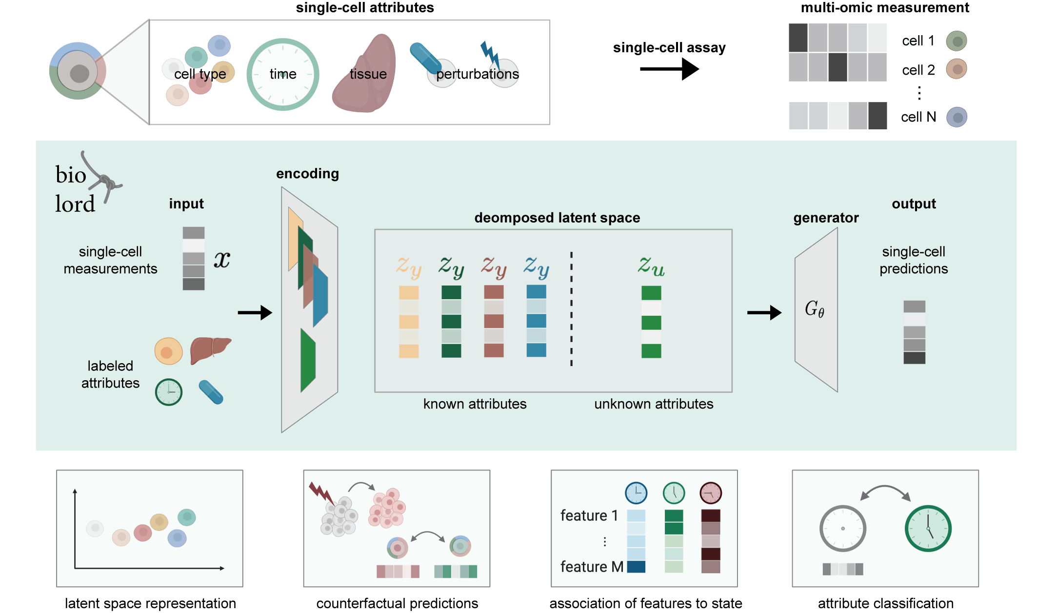 The biolord pipeline