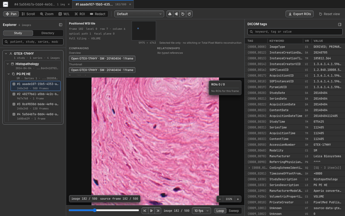 DICOM whole-slide microscopy context in dcmview