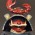 Avatar for cl3wis from gravatar.com